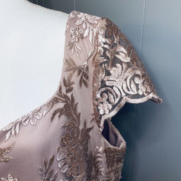 Brianna Women's Plus Size Pink Floral Embroidered Cap Sleeved Gown with Mesh - Picture 4 of 12